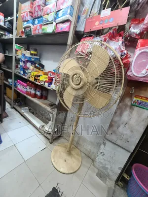 Pakistani Fan