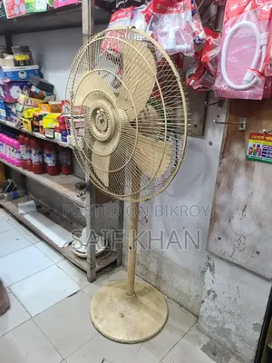 Pakistani Fan