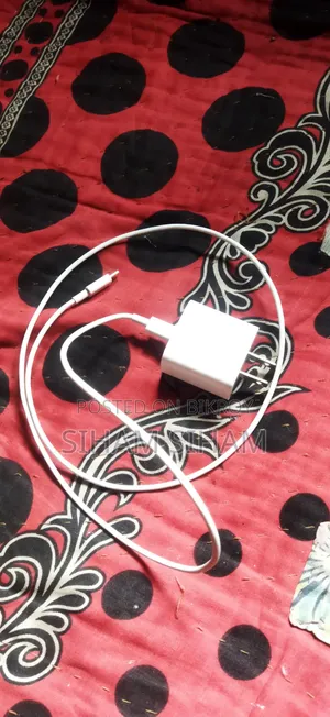 Type C 25 Watt Charger