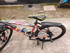 Bicycle for Sale