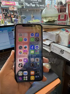 Apple iPhone 11 Pro Max 256 GB Blue