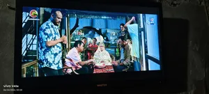Walton 24" TV