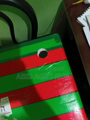 ইনকিউবেটর ১০০ ডিমের সেমি অটো। এসি,ডিসি