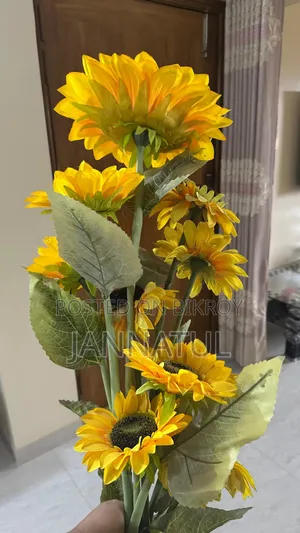 ফ্লাওয়ার ভেস