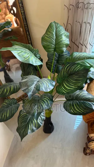 Tree Decor