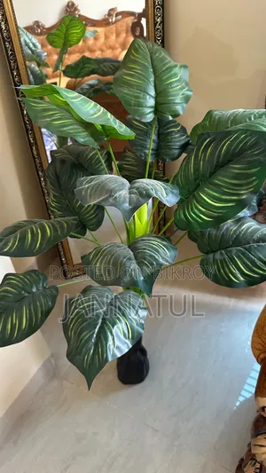 Tree Decor