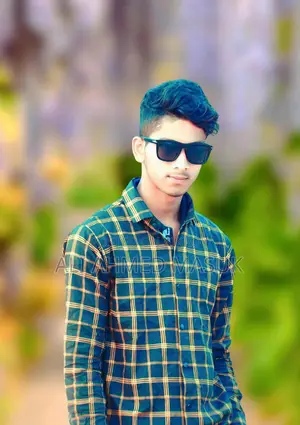 আলী আহমেদ মাসুক - সিভি