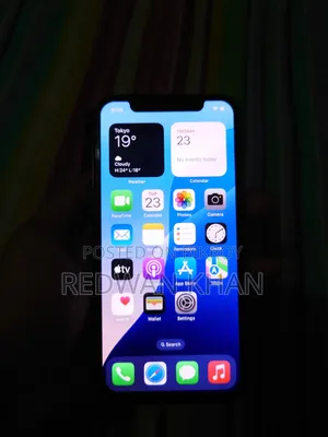 Apple iPhone 11 Pro ২৫৬ জিবি রোজ গোল্ড