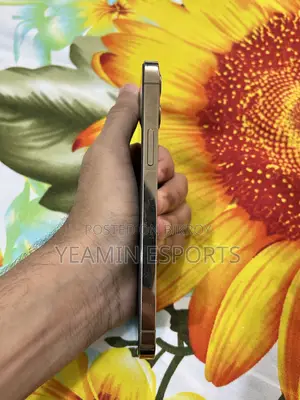 Apple iPhone 12 Pro 128 GB Gold