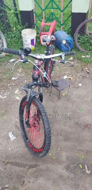 Avon MTB Cycle 24 Inch