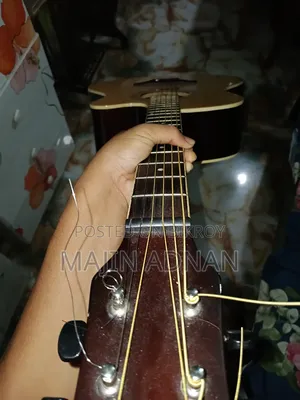 Pure Acoustic Guitar