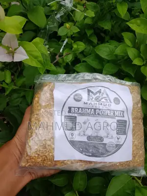 Brahma Power Mix Food