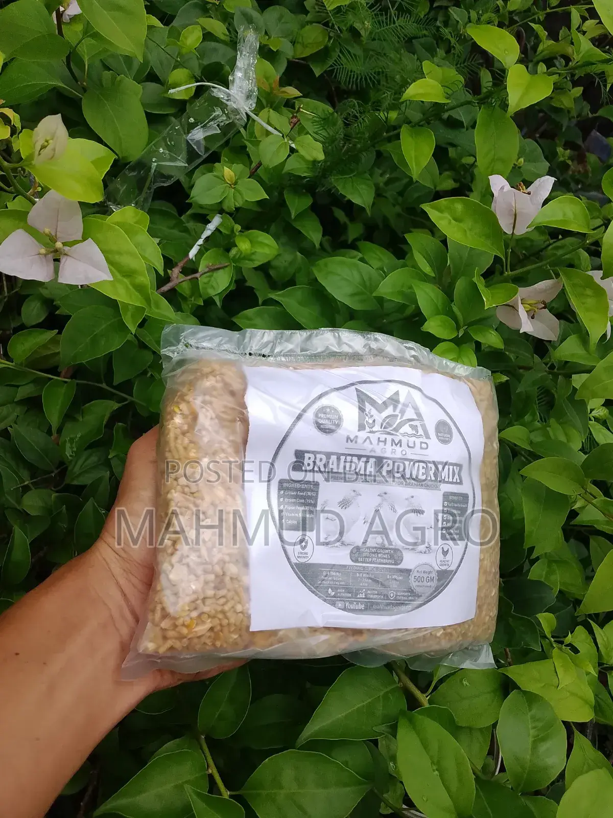 ব্রাহমা পাওয়ার মিক্স ফুড