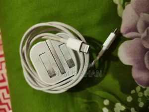 Apple Charger W