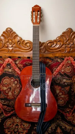 Guitar for Sell Custom Cg120