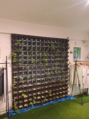 Attractive Vertical Garden Wall for Home
