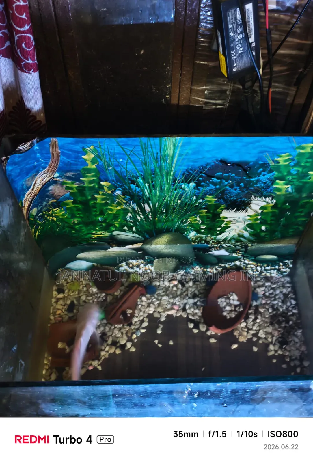 Aquarium 19/20