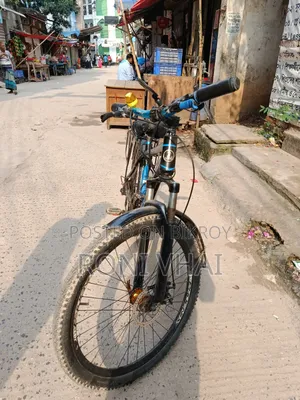 Phoenix Cycle