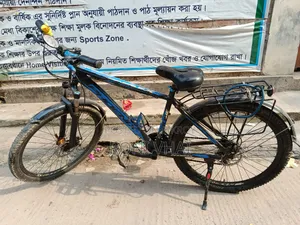 Phoenix Cycle