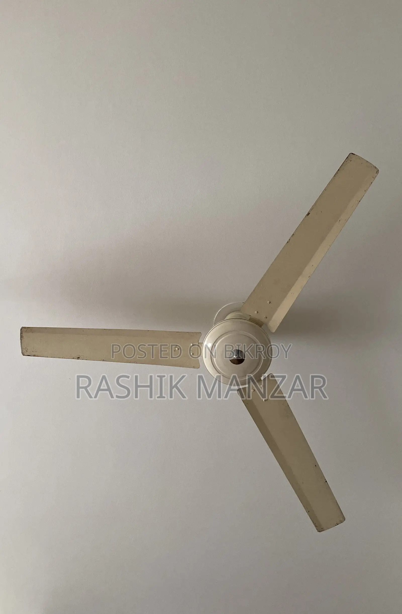 ২টি সিলিং ফ্যান (৩ ব্লেড)
