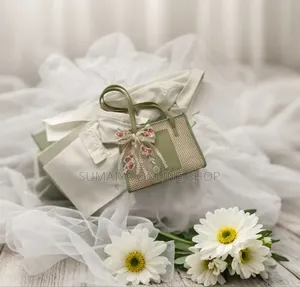 সবচেয়ে চাহিদাসম্পন্ন ওভেন ব্যাগ