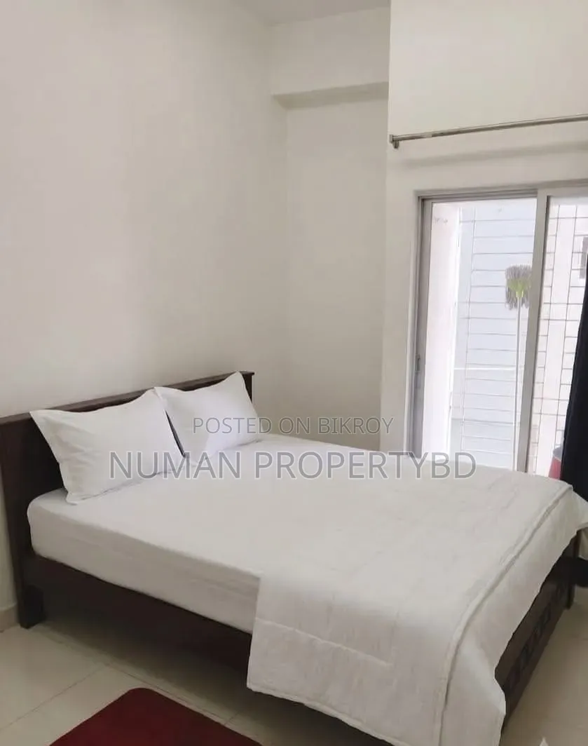 Furnished Studio Apartment in Numan Property Bd, Basundhara for rent