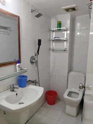 Furnished Studio Apartment in Numan Property Bd, Basundhara for rent