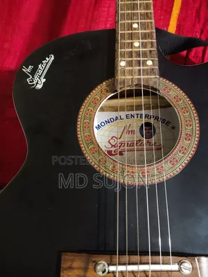 Signature Guitar