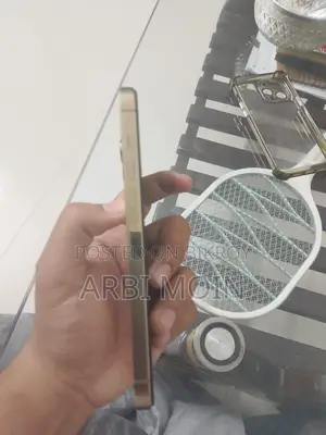 অ্যাপল আইফোন ১৩ প্রো ম্যাক্স ১২৮ জিবি গোল্ড