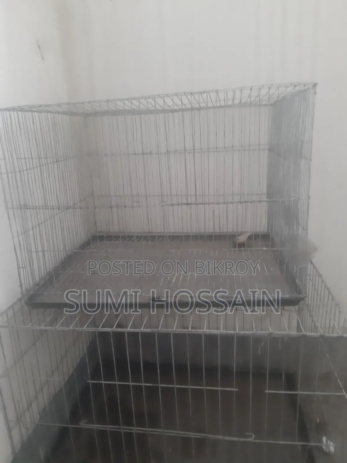 Bird Cage