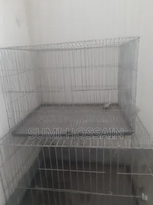 Bird Cage