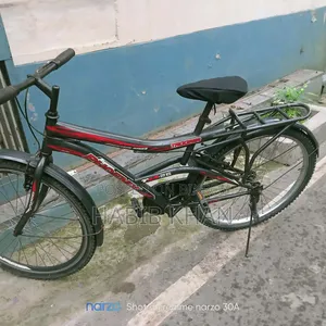 Bicycle Phoenix