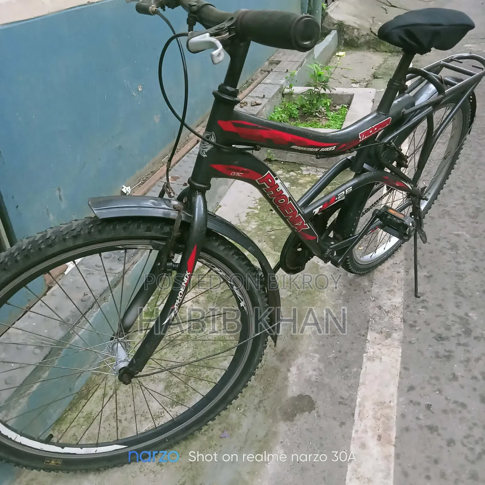 Bicycle Phoenix