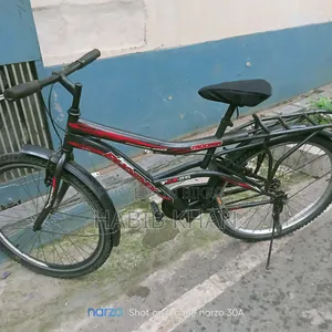 Bicycle Phoenix