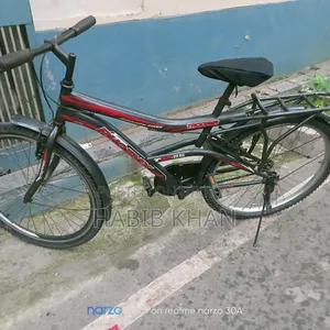 Bicycle Phoenix