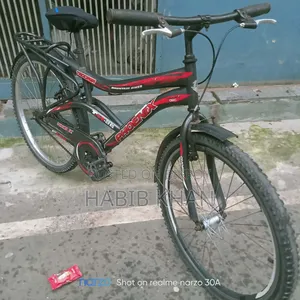 Bicycle Phoenix