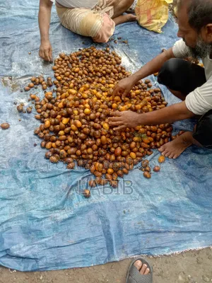 Moja Betel Nut