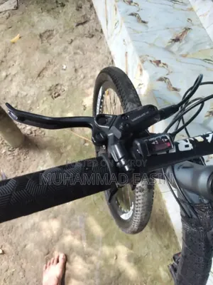 Marin1236m