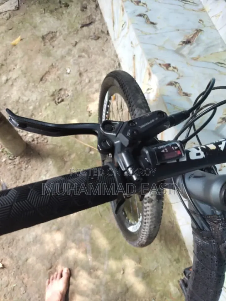 Marin1236m