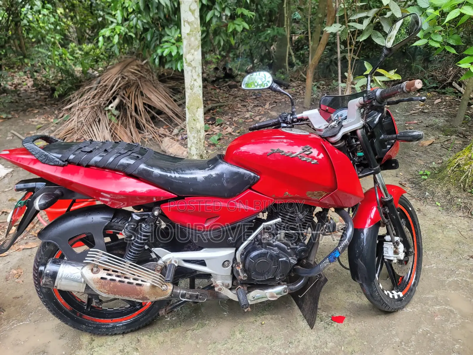 বাজাজ পালসার ১৫০ ২০১৮ রেড