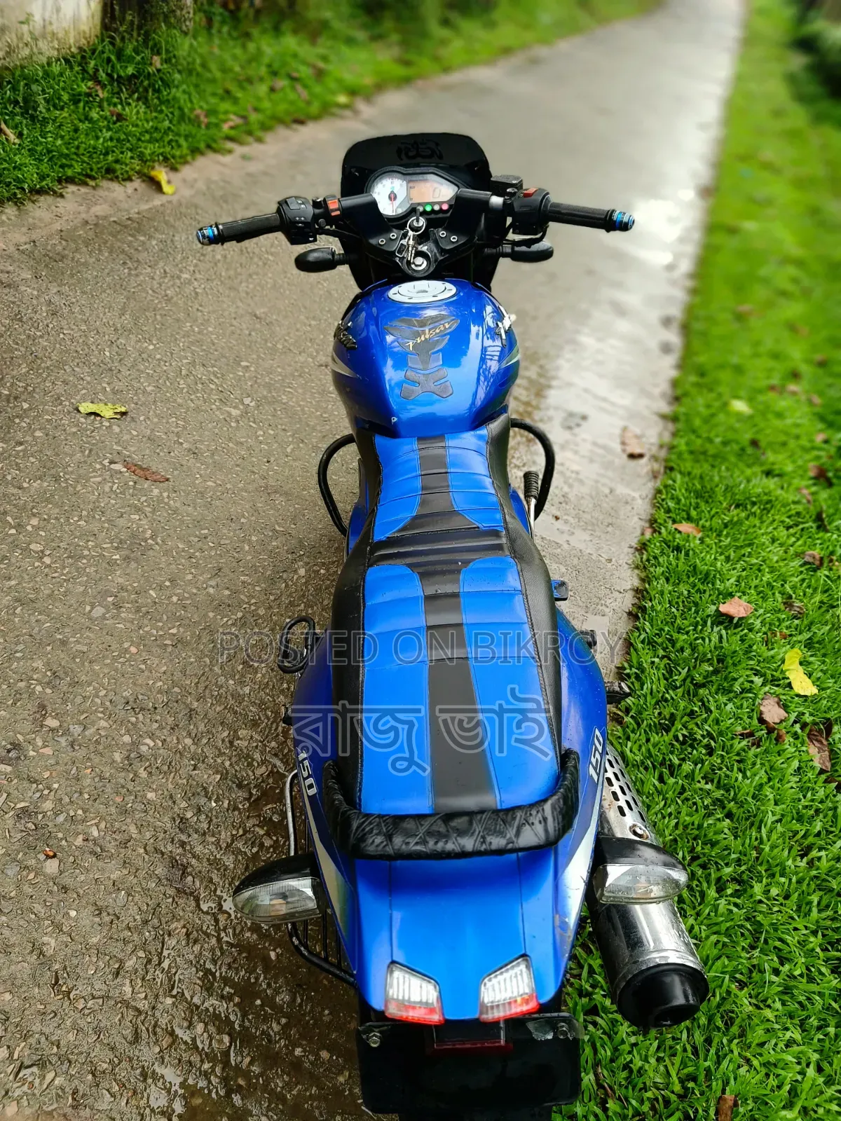 Bajaj Pulsar 150 2019 Blue