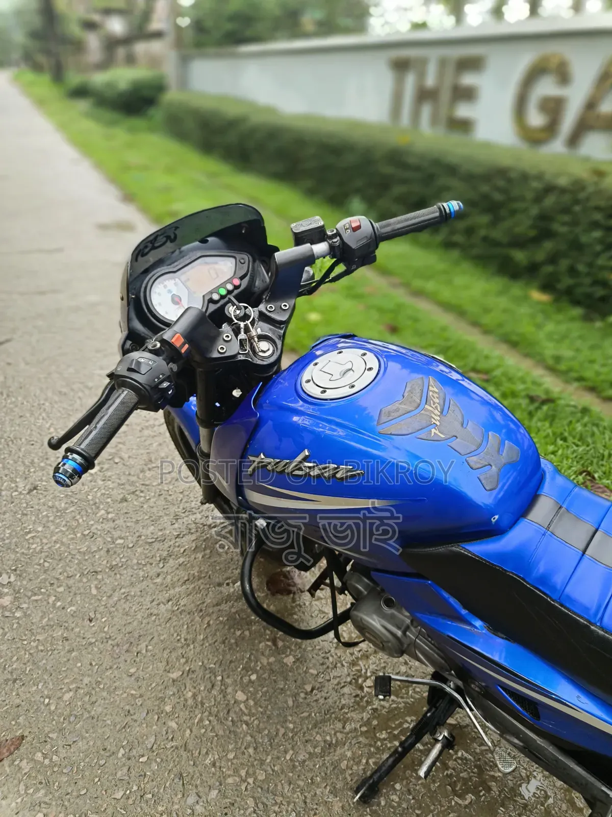 Bajaj Pulsar 150 2019 Blue
