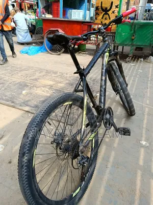 Foxter Cycle