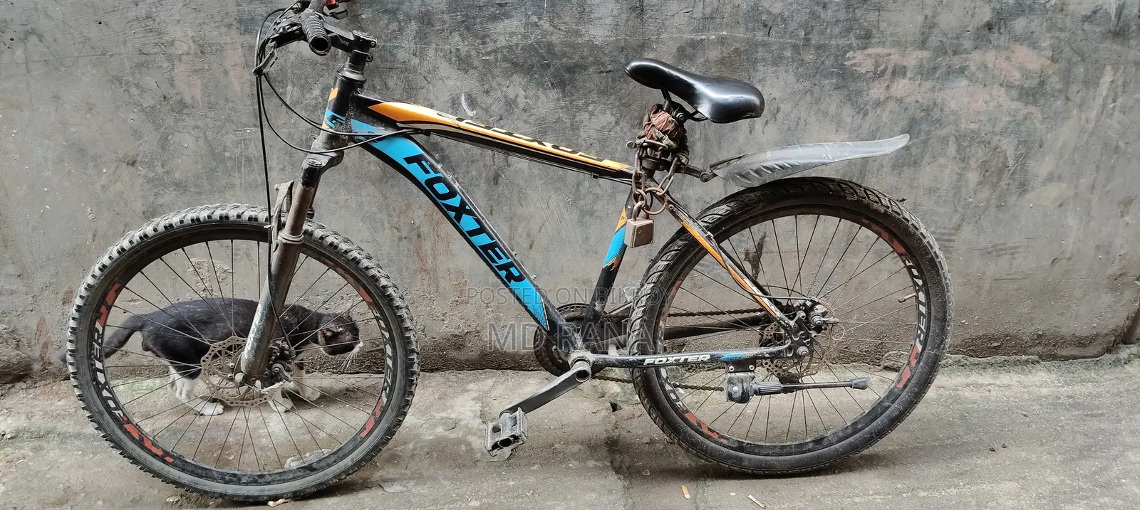 Fresh Condition Bicycle. Running Bicycle.