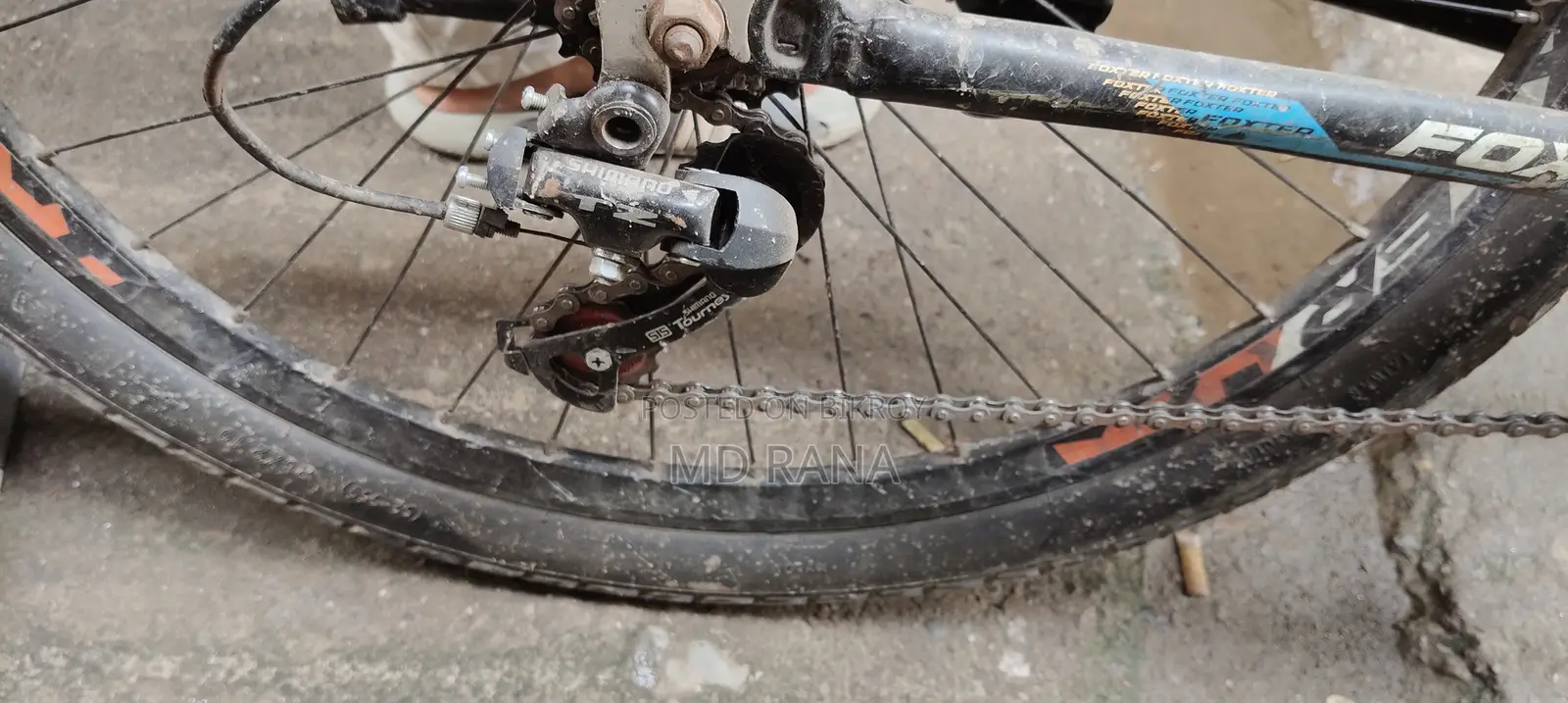 Fresh Condition Bicycle. Running Bicycle.