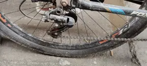 Fresh Condition Bicycle. Running Bicycle.