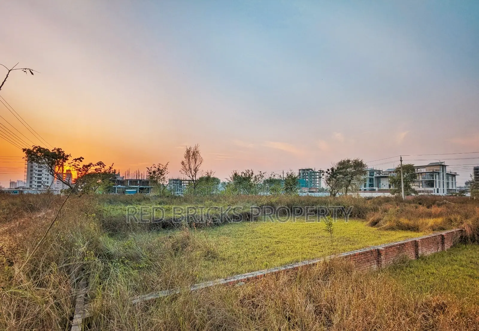 M Block 5 Katha Plot for Sale