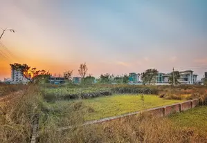 M Block 5 Katha Plot for Sale