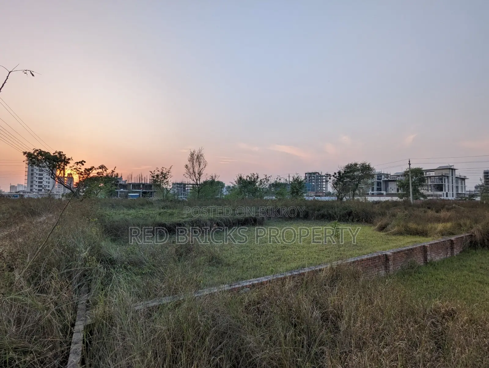 M Block 5 Katha Plot for Sale