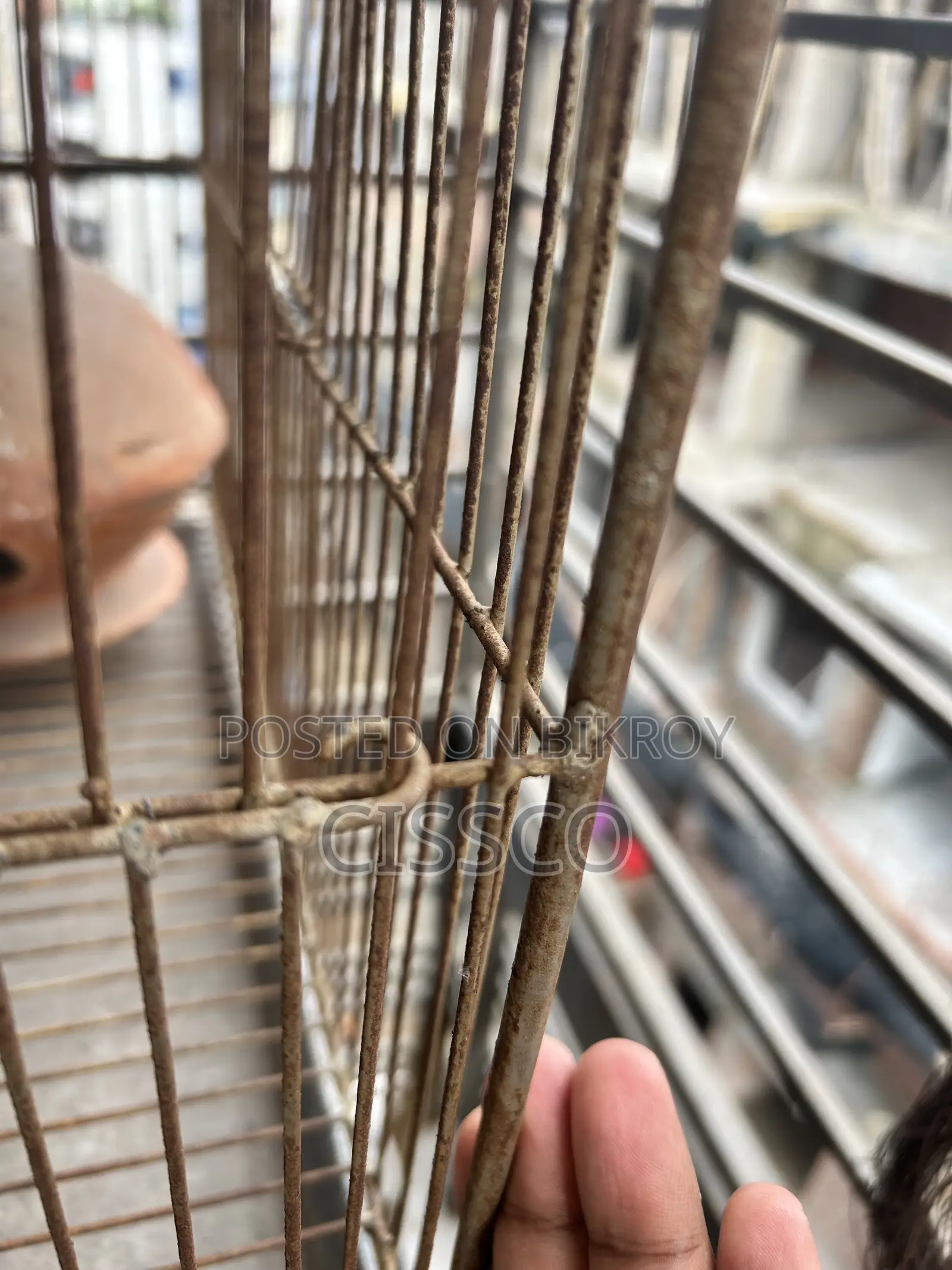 Bird Cage 3 Story